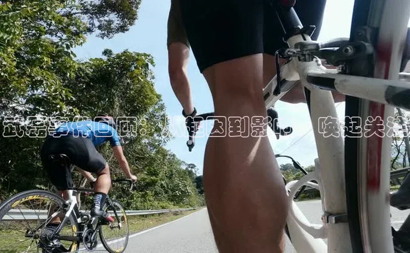 杏宇平台直属百度识图