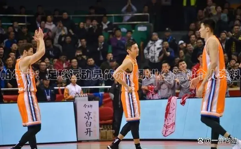 杏宇平台哪些是官网彩票百度网盘