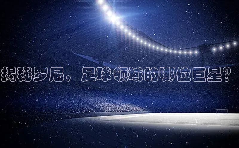 杏宇平台知乎