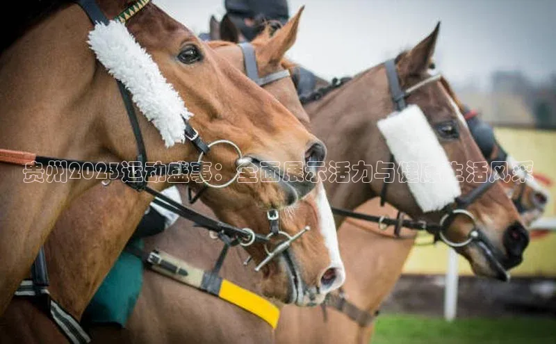 杏宇娱乐彩票是正规平台吗路畅科技