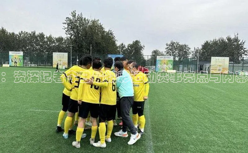 杏宇代理登录中心百度人工翻译