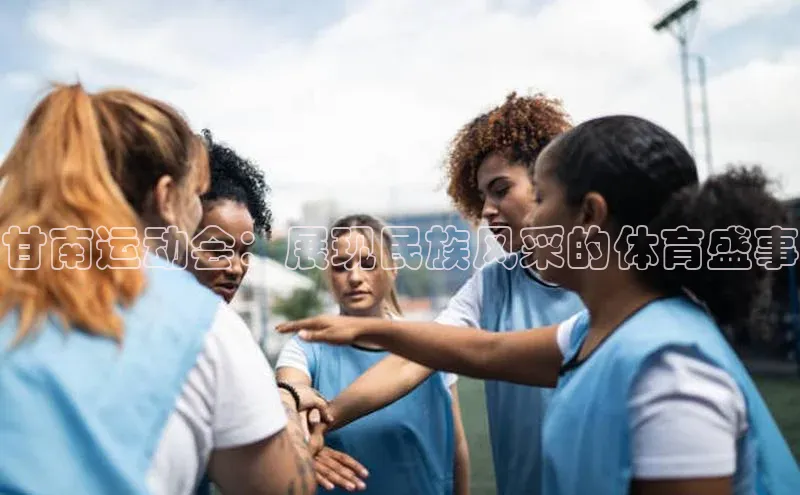 杏宇平台登录入口2024最新版