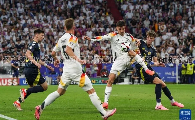 杏宇平台登录官网