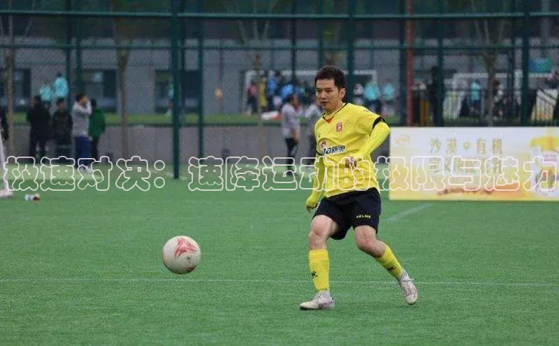 杏宇平台登录入口注册账号