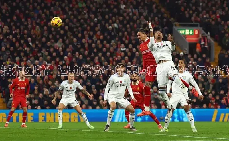 杏宇平台登录入口2024最新版