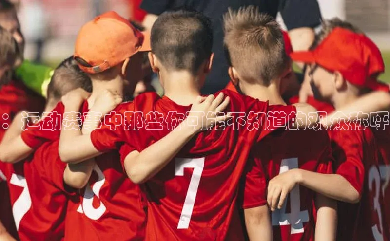 杏宇平台登录入口注册账号