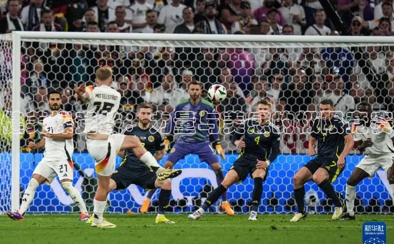 杏宇注册平台登录