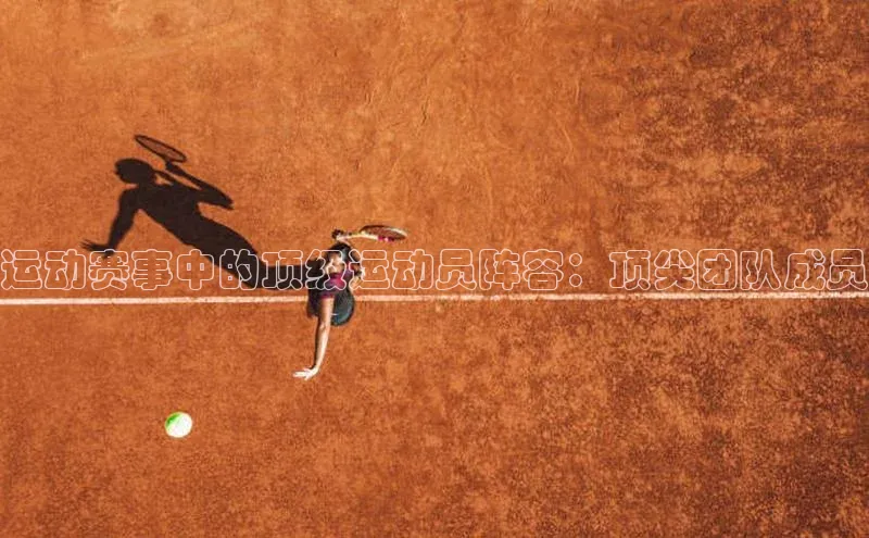 杏宇代理登录中心