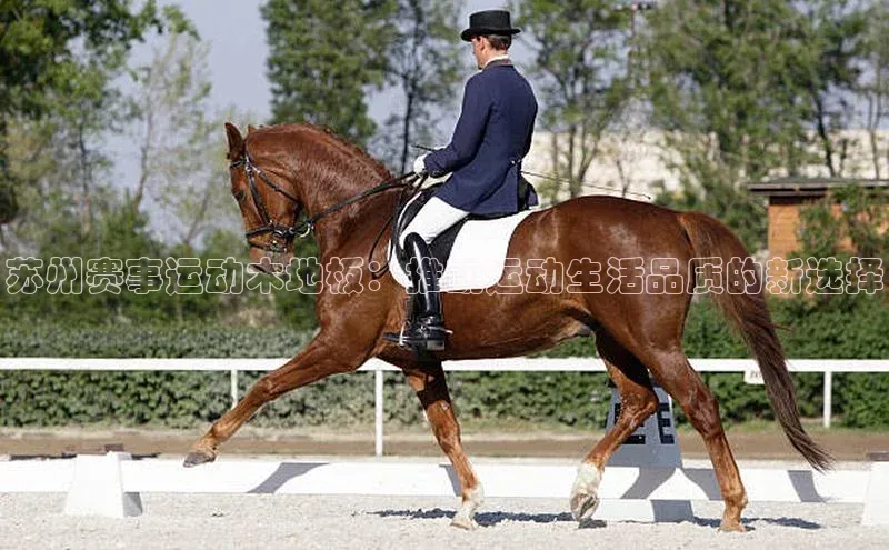 杏宇平台代理注册