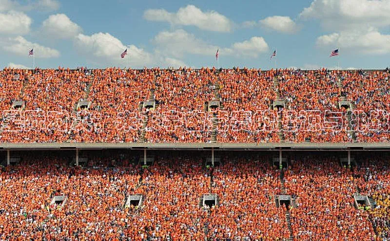 杏宇注册平台登录