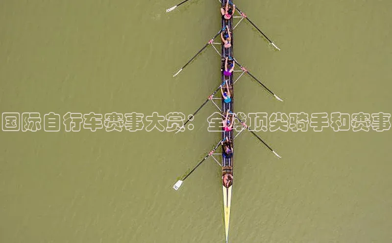 杏宇平台登录入口注册账号