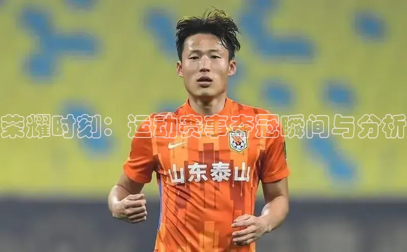 杏宇平台登录入口2024最新版