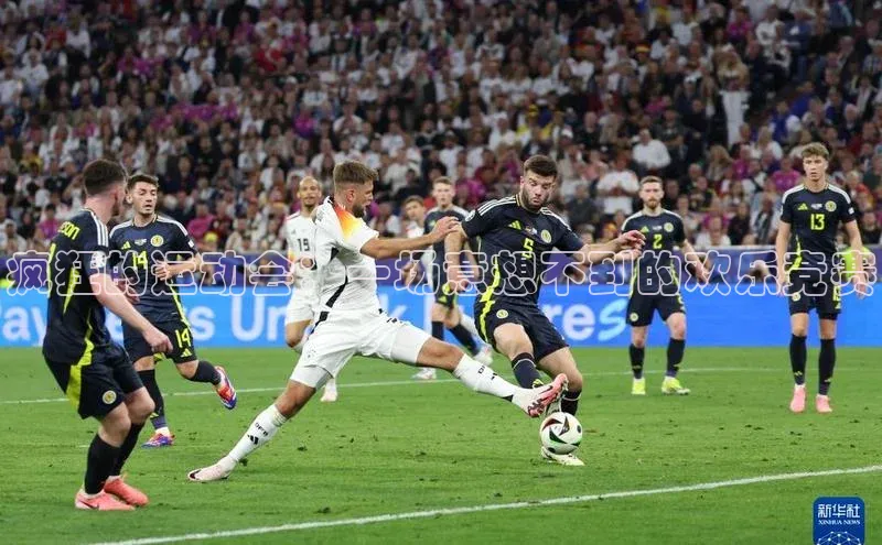 杏宇平台登录官网