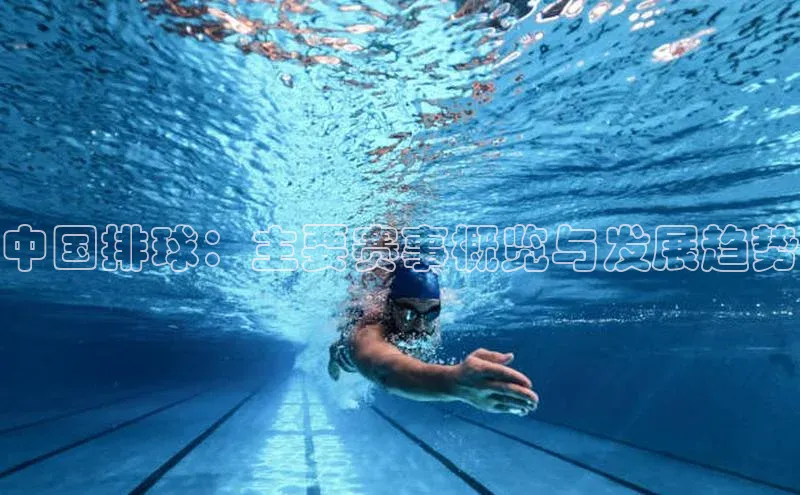 杏宇平台登录入口2024最新版