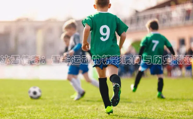 杏宇平台登录入口2024最新版