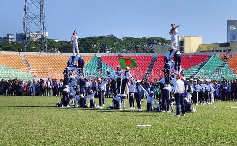 杏宇平台登录入口2024最新版