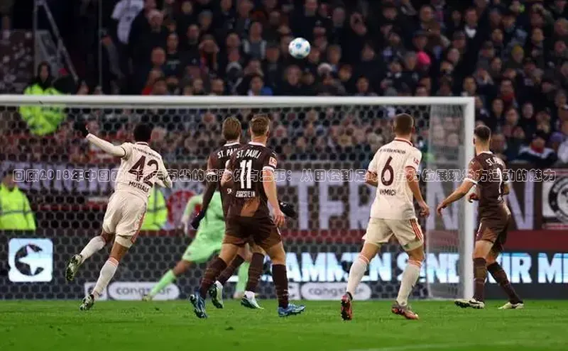 杏宇平台登录首页