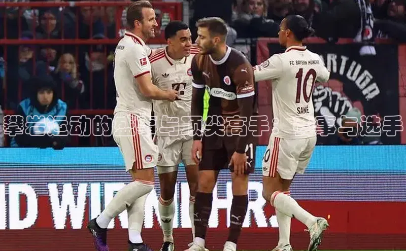 杏宇平台登录官网