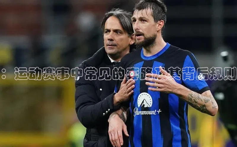 杏宇平台登录入口2024最新版