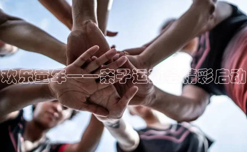 杏宇平台登录首页