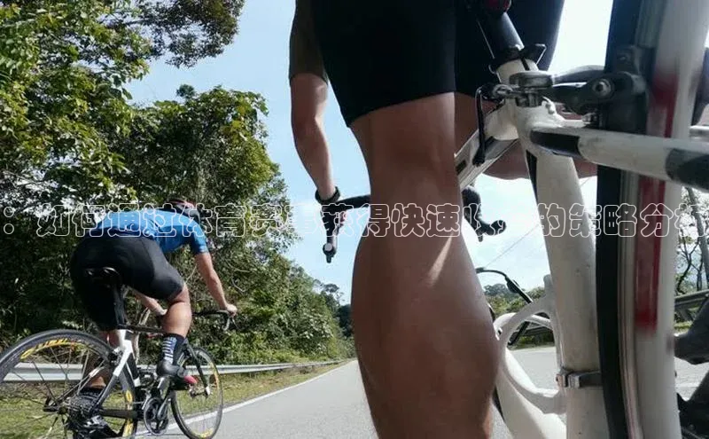 杏宇注册平台登录