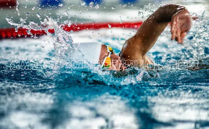 杏宇平台代理注册